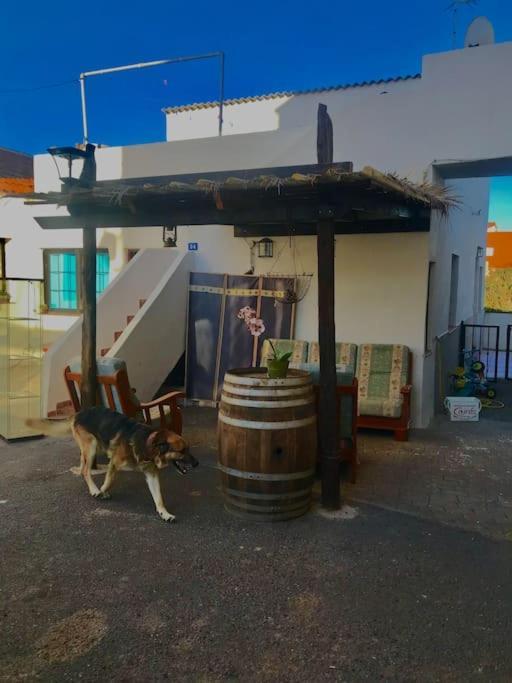 Acogedor Apartamento Verodes De Una Habitacion. San Miguel de Abona Eksteriør bilde